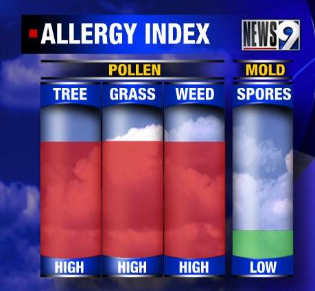 Pollen count like Jackie's life