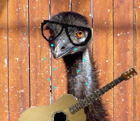 He's lonely An emo emu